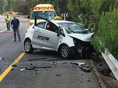 צילום: מישל דוט קום צילום: מישל דוט קום