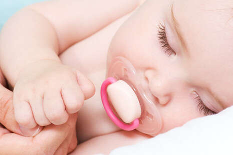 צילום: SHUTTERSTOCK צילום: SHUTTERSTOCK