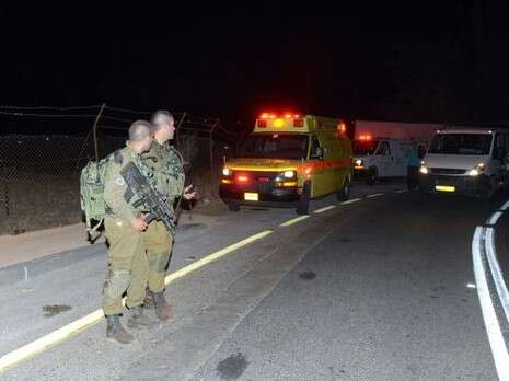 צילום: אייל מרגולין, ג?יני צילום: אייל מרגולין, ג?יני