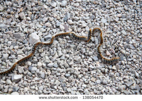 צילום: SHUTTERSTOCK צילום: SHUTTERSTOCK
