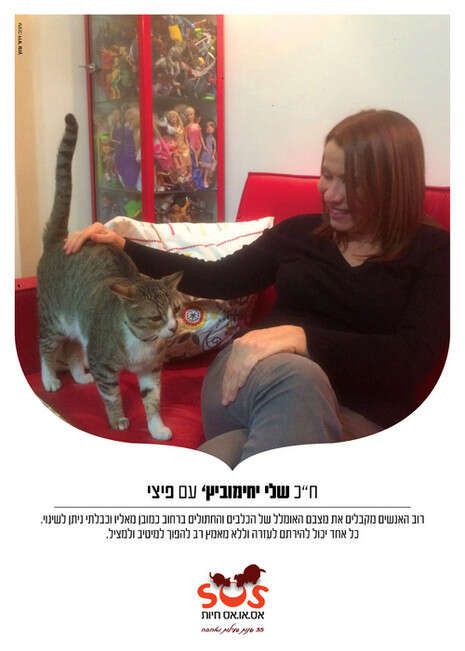 פוסטר: SOS חיות פוסטר: SOS חיות