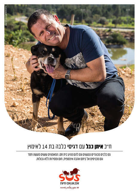 פוסטר: SOS חיות פוסטר: SOS חיות