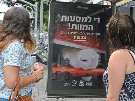 צילום: איתי אקנין צילום: איתי אקנין