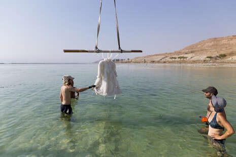 צילום: Matanya Tausig צילום: Matanya Tausig
