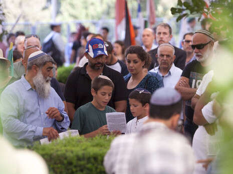 צילום: אופיר דוד צילום: אופיר דוד