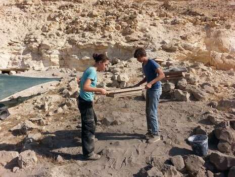 צילום: טלי אריקסון גיני/ רשות העתיקות צילום: טלי אריקסון גיני/ רשות העתיקות