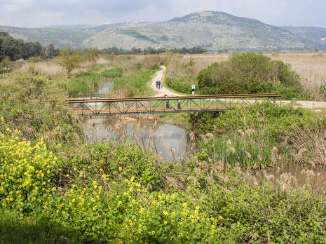צילום: שאטרסטוק צילום: שאטרסטוק
