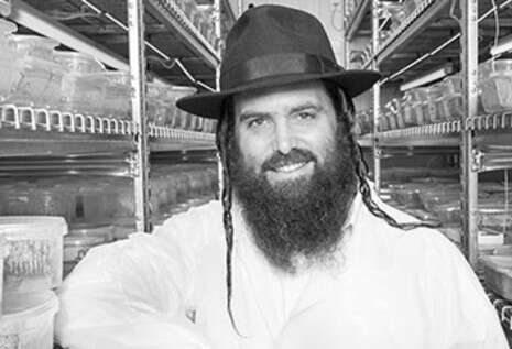 יח''צ יח''צ