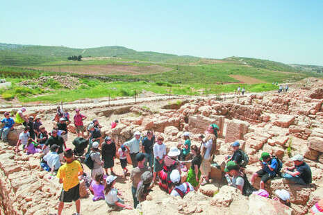 צילום: מרים צחי צילום: מרים צחי
