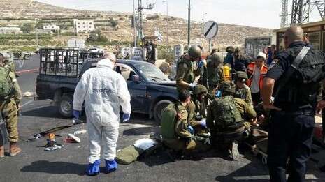 צילום: משה בוטביה/TPS צילום: משה בוטביה/TPS