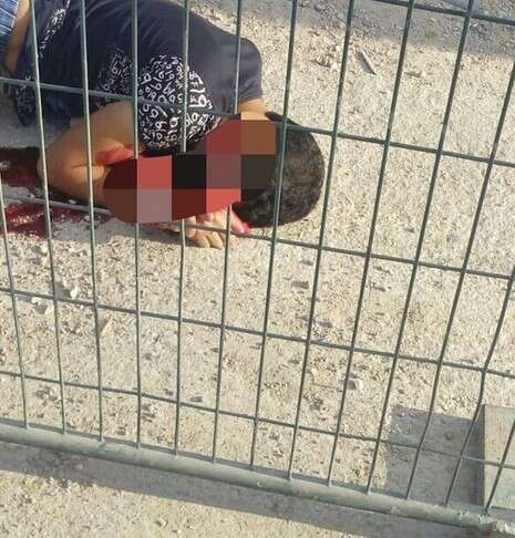 צילום: הצלה יו''ש צילום: הצלה יו''ש