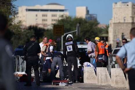 צילום: יונתן זינדל/ פלאש 90 צילום: יונתן זינדל/ פלאש 90