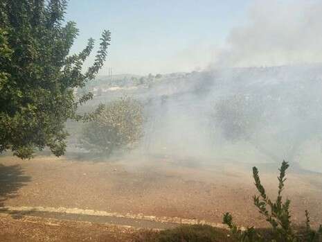 צילום: בניהו שמעון צילום: בניהו שמעון