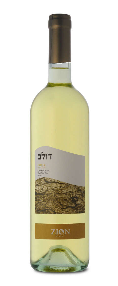 צילום: אייל קרן צילום: אייל קרן