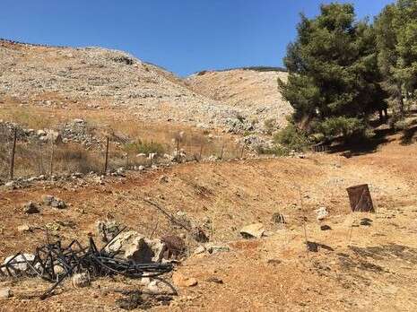 צילום: יאיר קראוס צילום: יאיר קראוס