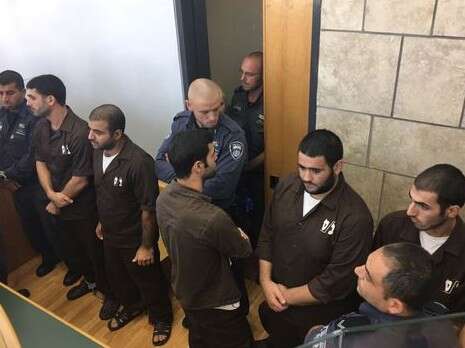 צילום: מישל דוט קום צילום: מישל דוט קום