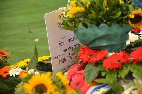 צילום: יוסי זליגר צילום: יוסי זליגר