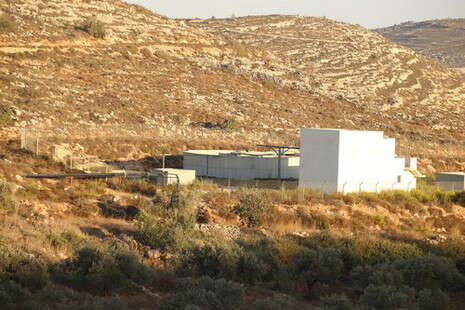 צילום: מירי צחי צילום: מירי צחי