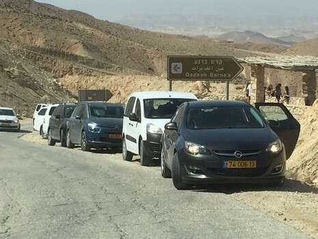צילום: ערן דורון צילום: ערן דורון