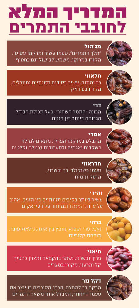 צילום: חצר כנרת צילום: חצר כנרת