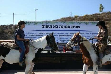 צילום: מירי צחי צילום: מירי צחי