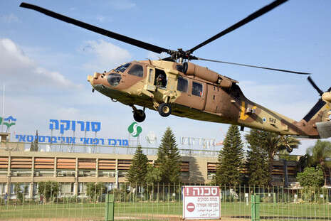צילום: דודו גרינשפן צילום: דודו גרינשפן