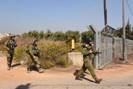 צילום: אייל מרגולין/ ג'יני צילום: אייל מרגולין/ ג'יני