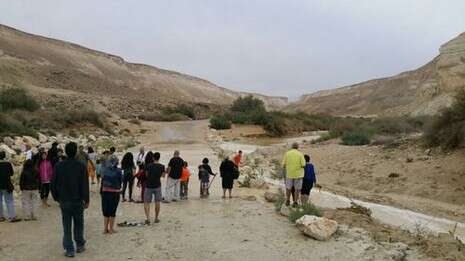אמיר שפיר, רשות הטבע והגנים אמיר שפיר, רשות הטבע והגנים