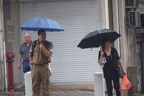 צילום: הרצי שפירא צילום: הרצי שפירא
