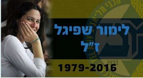 צילום: עודד שלו צילום: עודד שלו