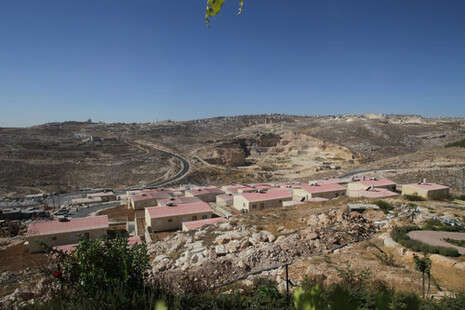 צילום: מירי צחי צילום: מירי צחי