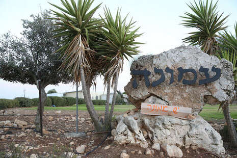 צילום: מירי צחי צילום: מירי צחי