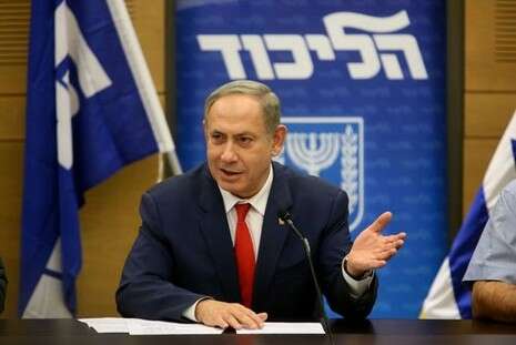צילום: דודי ועקנין צילום: דודי ועקנין