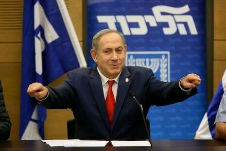 צילום: דודי ועקנין צילום: דודי ועקנין