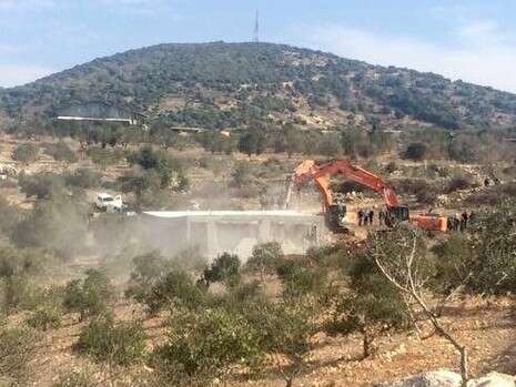 צילום: נזיה קבלאן צילום: נזיה קבלאן