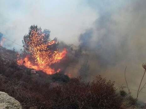 צילום: דוברות כבאות והצלה בית שמש צילום: דוברות כבאות והצלה בית שמש