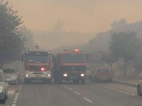 צילום: דוברות מחוז מרכז צילום: דוברות מחוז מרכז