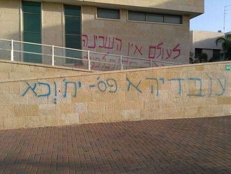 צילום: יוסי כהן צילום: יוסי כהן