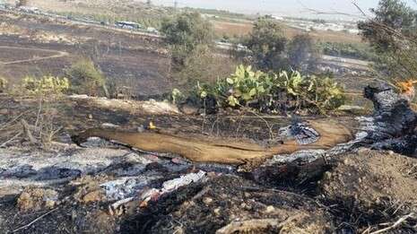 צילום: יהונתן שאול צילום: יהונתן שאול
