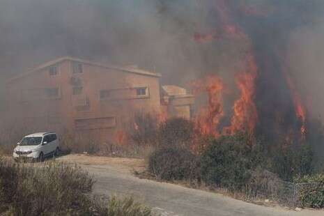 צילום: הרצי שפירא צילום: הרצי שפירא