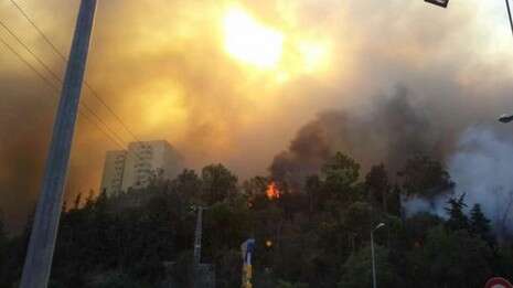 צילום: דוברות כבאות והצלה מחוז חוף צילום: דוברות כבאות והצלה מחוז חוף
