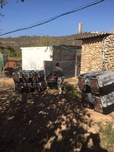 צילום: גיא איילון, רשות הטבע והגנים צילום: גיא איילון, רשות הטבע והגנים