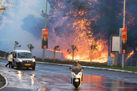 צילום: AFP צילום: AFP