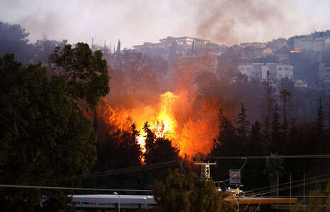 צילום: AFP צילום: AFP