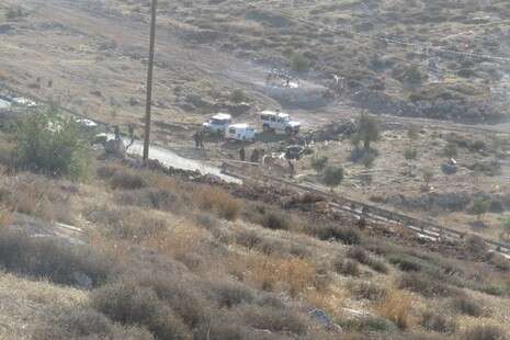 צילום: דניאל גלעד/TPS צילום: דניאל גלעד/TPS