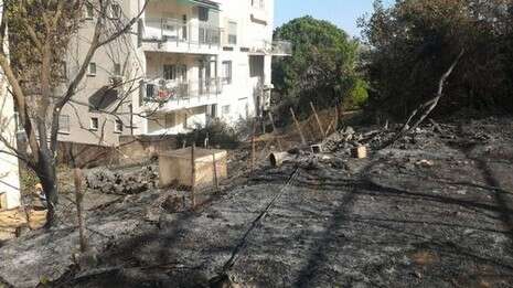 צלם: ניקי גוטמן צלם: ניקי גוטמן