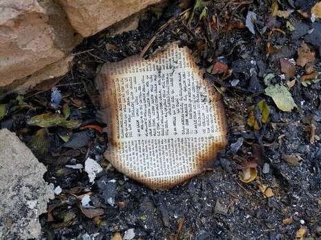 צילום: TPS צילום: TPS