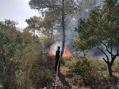 צילום: TPS צילום: TPS