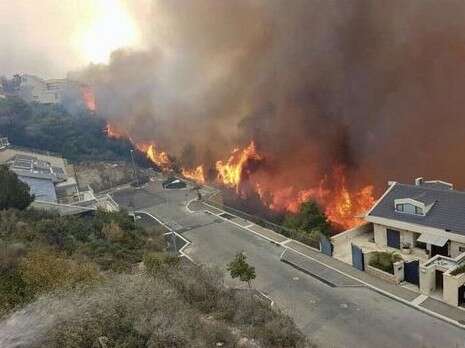 צילום: יקי הובר צילום: יקי הובר