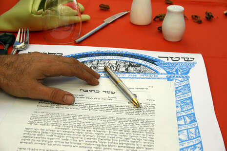 צילום: SHUTTERSTOCK צילום: SHUTTERSTOCK